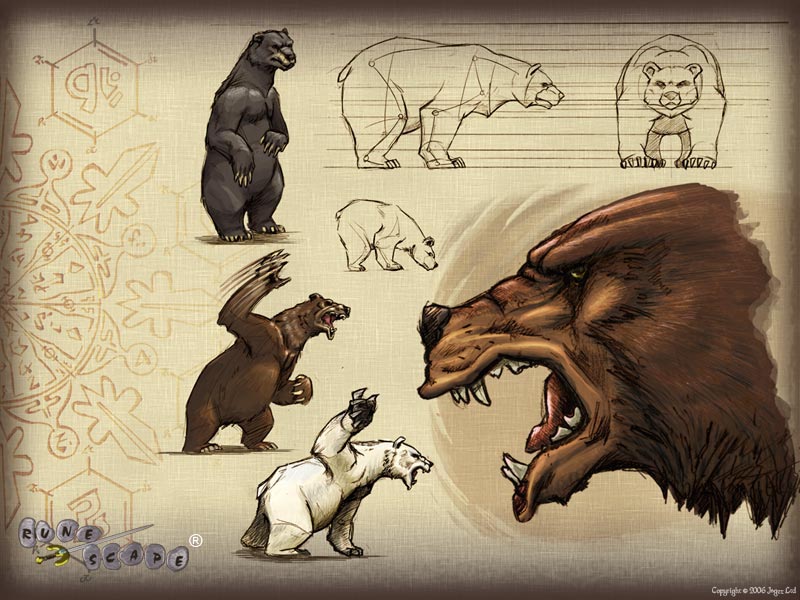 bear_800x600.jpg
